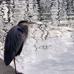 Meet your Posher, Christy